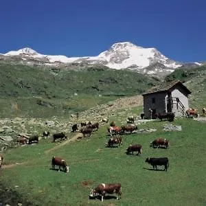 Maison Du Bourg